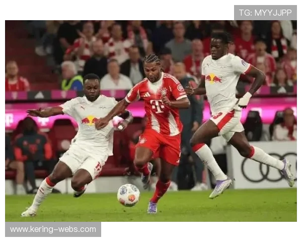 拜仁慕尼黑签下新中锋，解决锋线终结难题